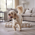 Coussin pour chien Bailey Pillow - Vichy naturel