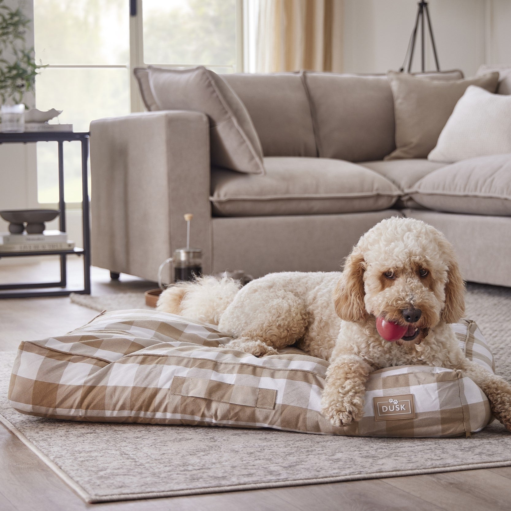 Coussin pour chien Bailey Pillow - Vichy naturel